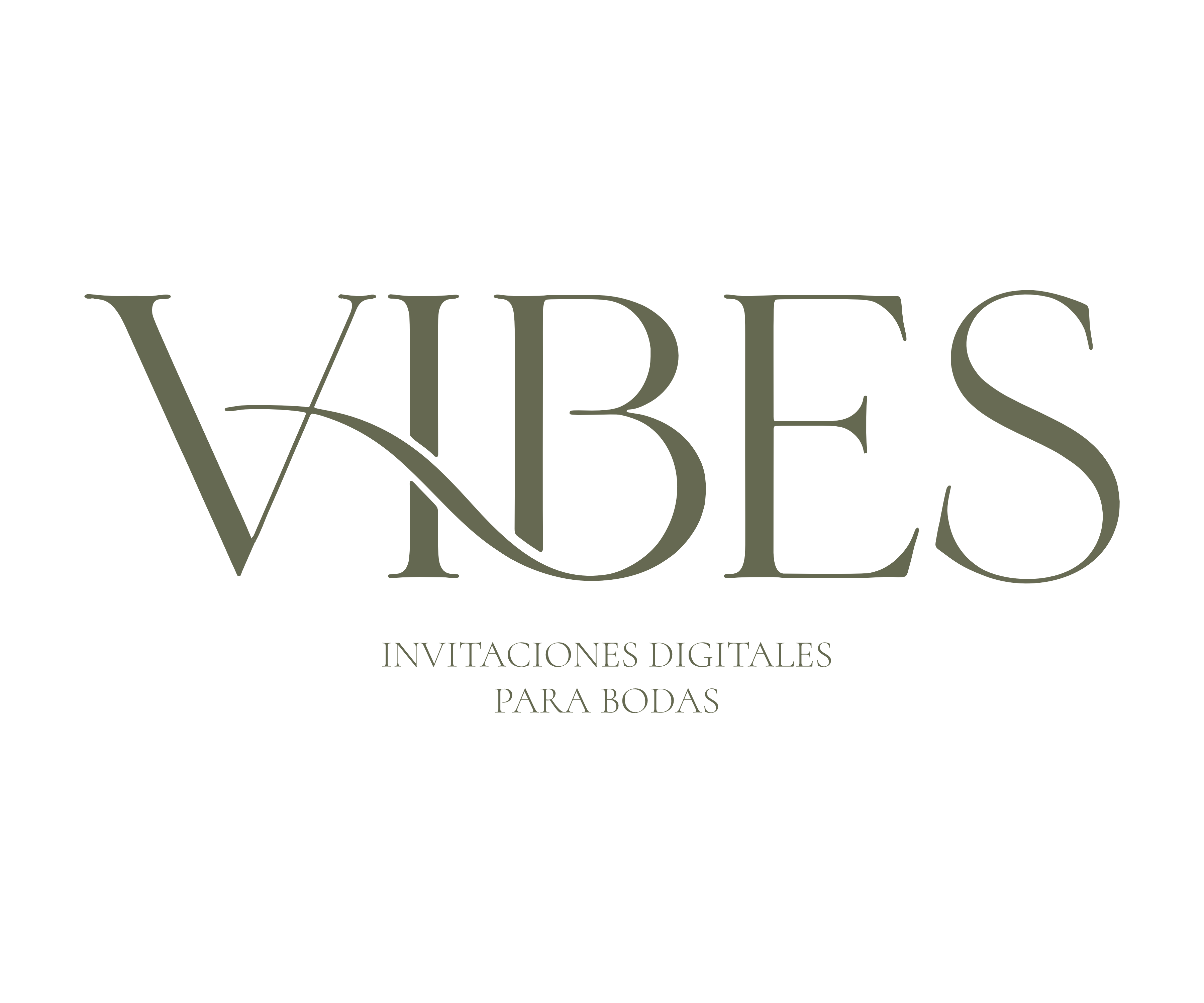 VIBES SUITE